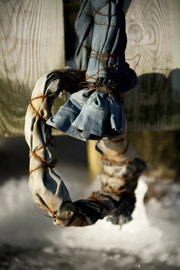 Customized By Nature 002